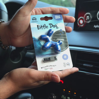 Little Dog® – Ocean Splash
